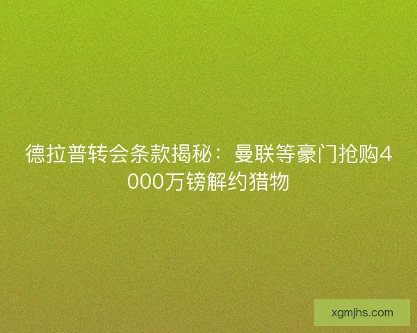 德拉普转会条款揭秘：曼联等豪门抢购4000万镑解约猎物